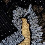 স্কিন প্রিন্ট শাড়ি